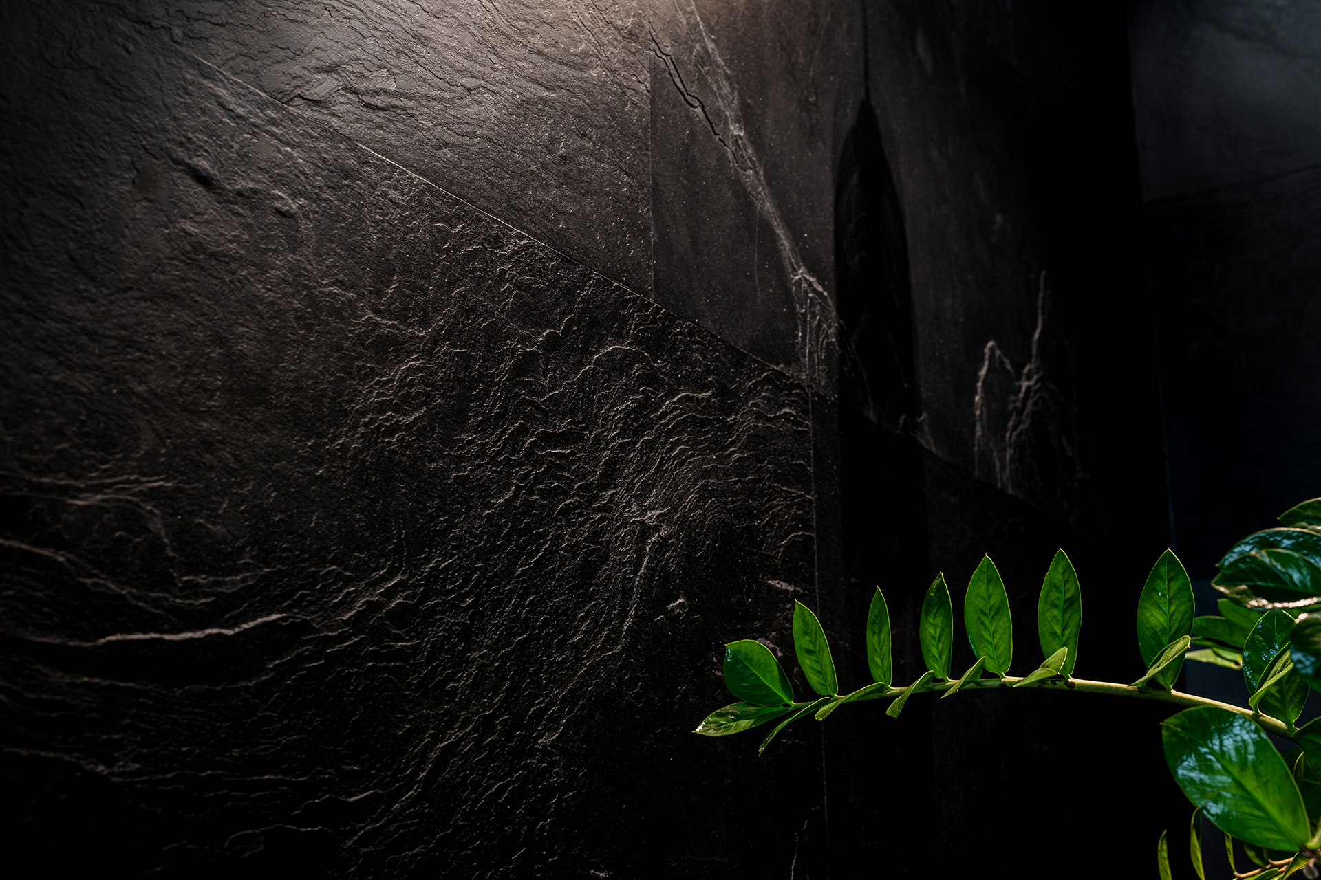 Masowa Stone - Stone Veneer Experts, UK-wide from Arbroath. Green leafy branch extending horizontally in front of textured black stone tiles on a wall.